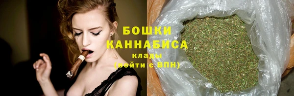 шишки Лабытнанги