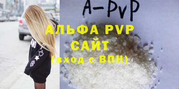 шишки Лабытнанги