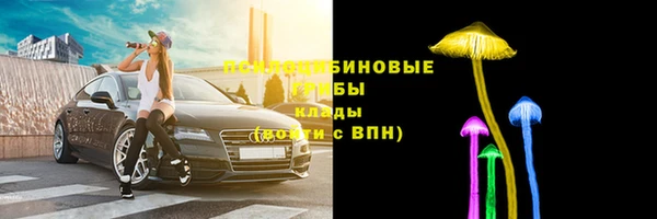 синтетический гашиш Ладушкин