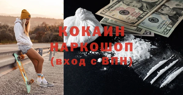 шишки Лабытнанги