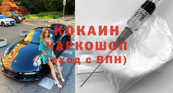 шишки Лабытнанги