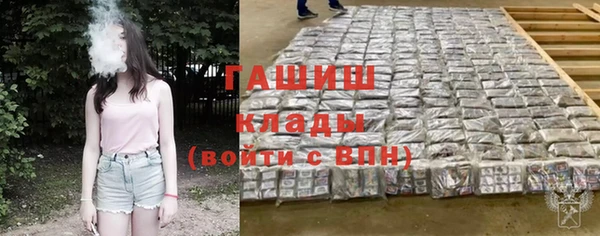 шишки Лабытнанги