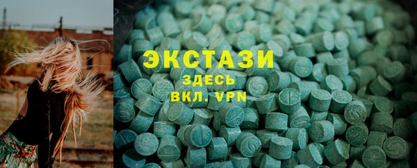 шишки Лабытнанги
