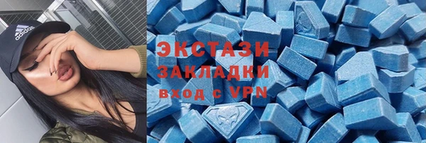 шишки Лабытнанги