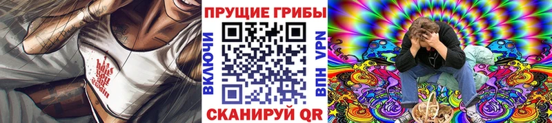 Псилоцибиновые грибы мицелий  как найти закладки  Ивангород 